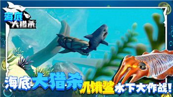 Switch双点校园操作的样式与创新应用，让玩家享受更加灵活的操作体验